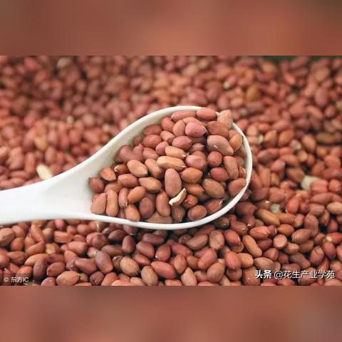 钟祥天气(钟祥天气查询记录) 钟祥天气(钟祥天气查询记录)