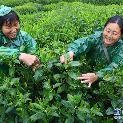 安徽将迎来大暴雨(安徽大暴雨预警) 安徽将迎来大暴雨(安徽大暴雨预警)