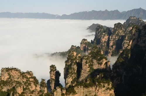 张家界天气预报15天景区天气（张家界近7天天气预报）