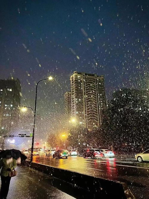 杭州天气预报一周(杭州天气预报一周七天) 杭州天气预报一周(杭州天气预报一周七天)