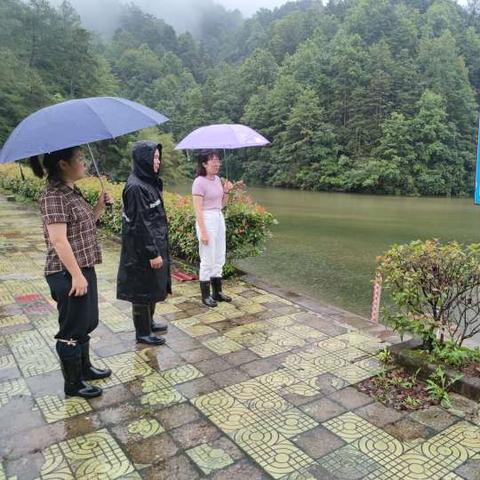 开化天气预报15天（开化天气预报15天查询系统）