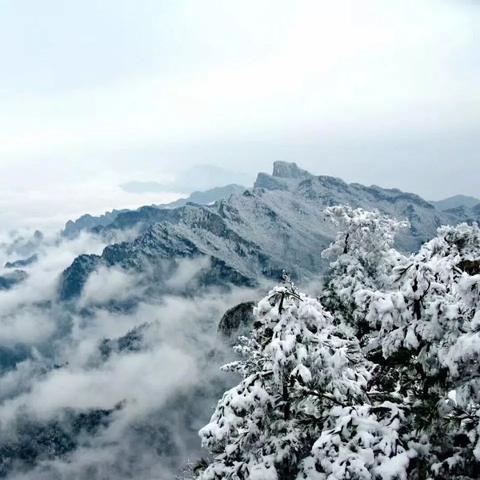 河南将迎大风大雪天气（河南大风降温温馨提示）