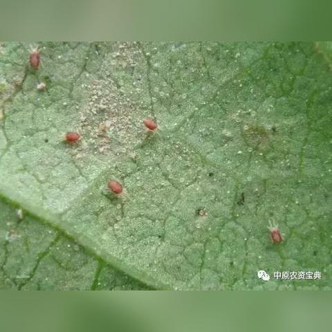 三门峡天气预报15天(三门峡天气预报15天准确一览表) 三门峡天气预报15天(三门峡天气预报15天准确一览表)