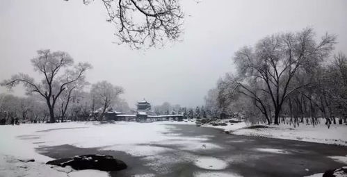 明天新昌几点下雨（新昌什么时候下雪2020）